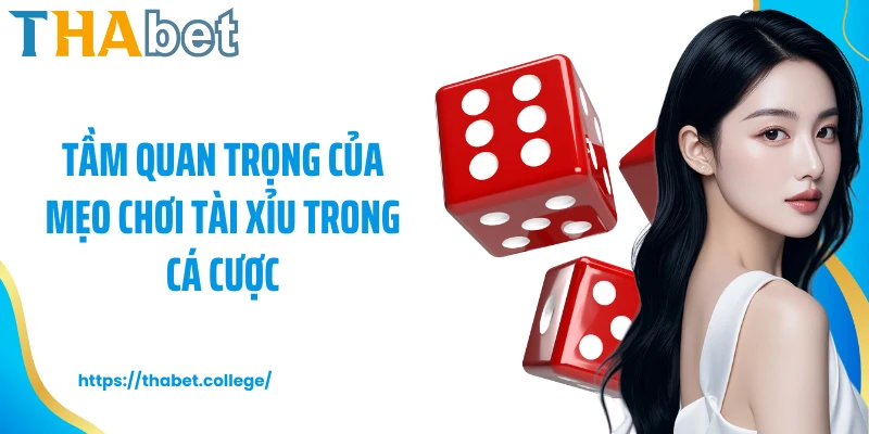 Tầm quan trọng của mẹo chơi tài xỉu trong cá cược